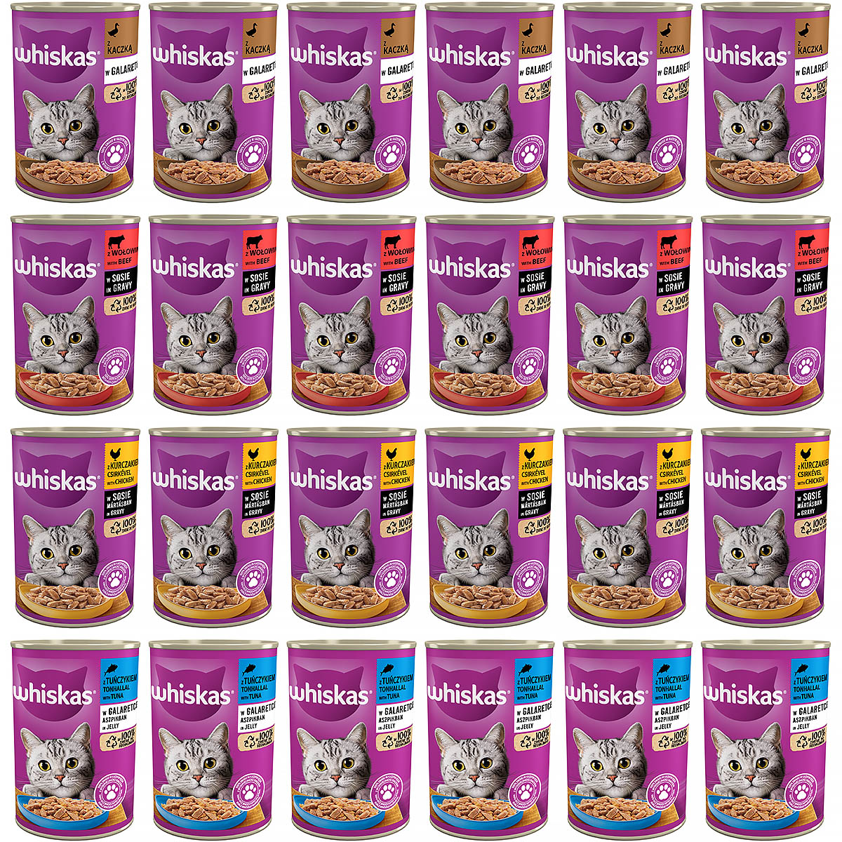 24 puszki karmy whiskas różnych smaków