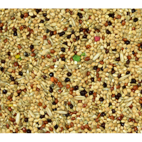 Australian Taste Vita-Organic 10 kg