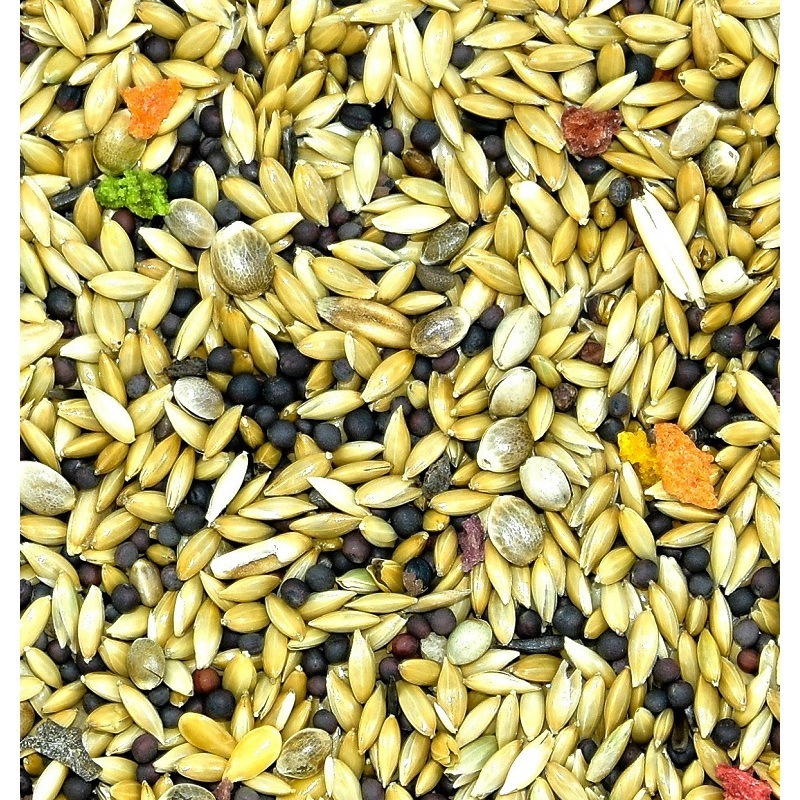 Exclusive Vita-Organic dla kanarka 10 kg