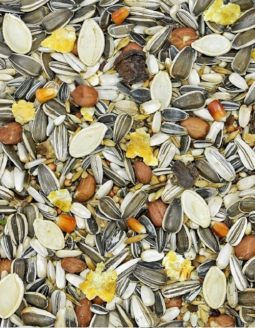 Karma dla dużych papug Vita-Organic 10 kg