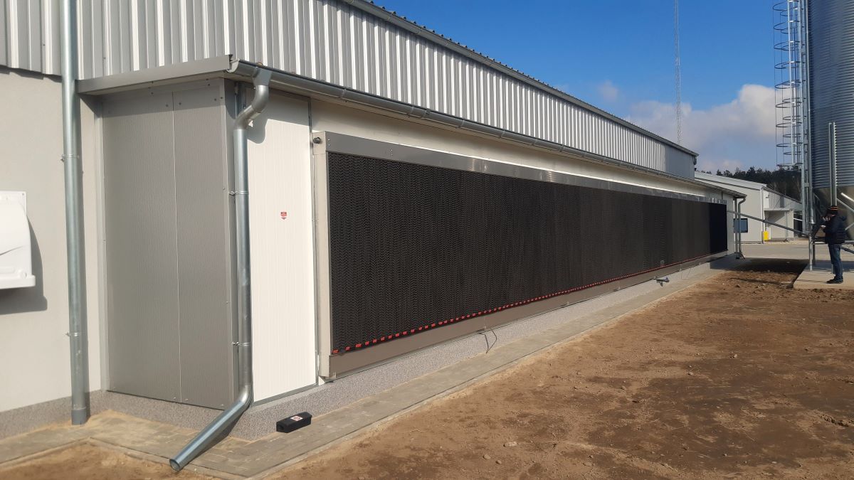 Pad-cooling na fermie drobiu
