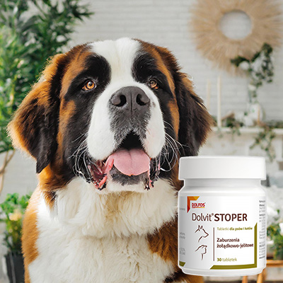 preparat na biegunkę dolvit stoper