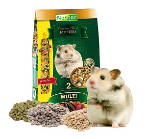 chomik