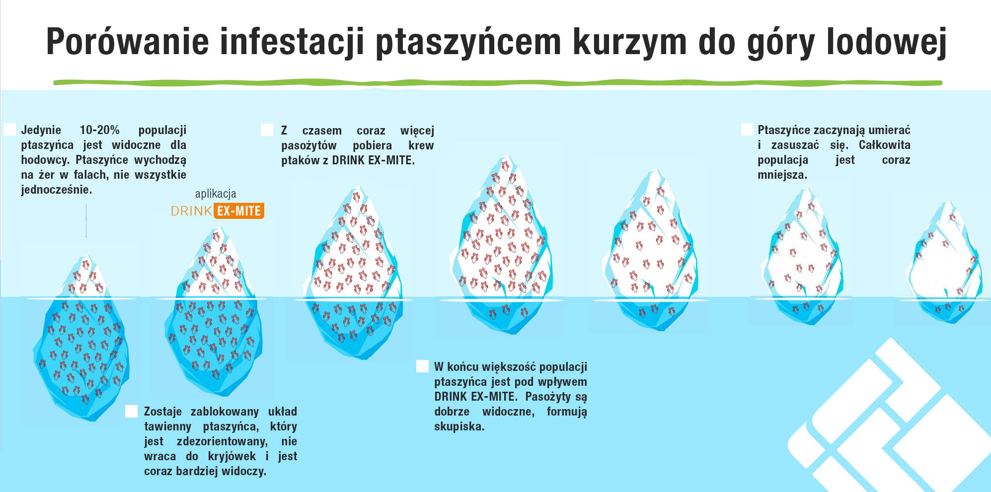drink ex-mite na ptaszyńca