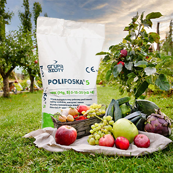 polifoska nawóz wieloskładnikowy