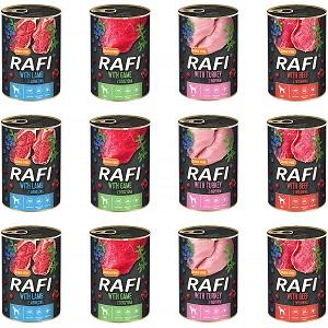 rafi