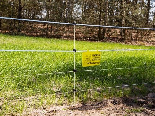 Prawidłowo wykonany pastuch elektryczny