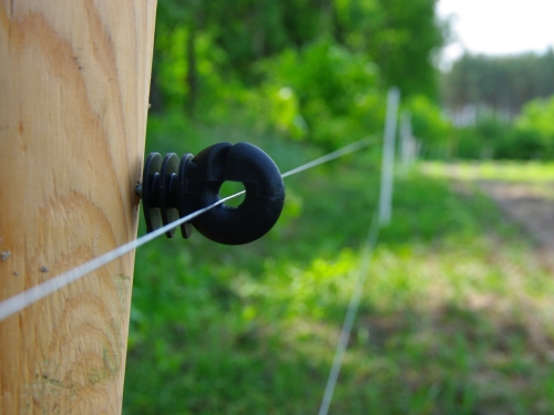 Pastuch elektryczny 