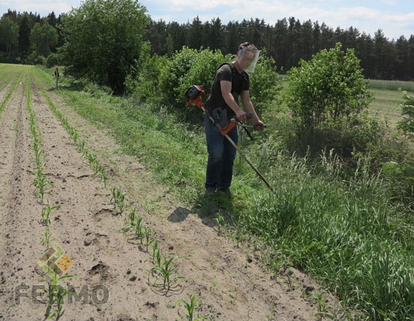 Pastuch elektryczny