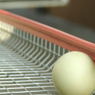 Listwa zabezpieczająca na krawędzie klatek