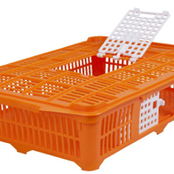 Klatka transportowa dla przepiórek i gołębi 67 x 45 x 15 cm