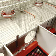 Listewka osłonowa na krawędzie klatek