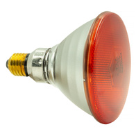 Żarówka promiennikowa Philips 175 WAT czerwona - szkło zbrojone