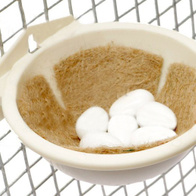 Sztuczne jajka do podkładania papużkom z wypełnieniem - 10 sztuk