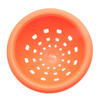 Gniazdko lęgowe dla ptaków egzotycznych bez zaczepów