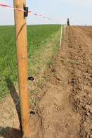 Izolator z zatrzaskiem do taśm RUBAN-CLIP na słupki drewniane