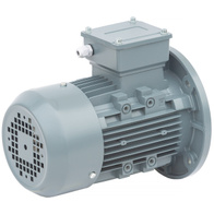 Silnik 1,1 kW bez przekładni do paszociągu