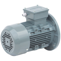 Silnik 0,75 kW bez przekładni do paszociągu