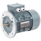 Silnik 0,75 kW bez przekładni do paszociągu