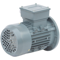 Silnik 0,37 kW do linii wzdłużnej karmienia