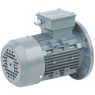 Silnik 0,55 kW do linii wzdłużnej karmienia