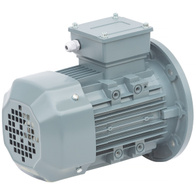 Silnik 1,5 kW bez przekładni do paszociągu