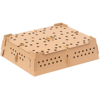 Karton do transportu piskląt 60 x 47 x 15 cm CHICK-BOX - 5 szt.