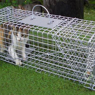 Pułapka na koty - żywołowna 84 cm