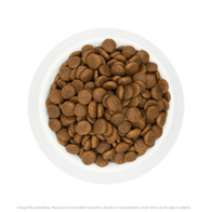 Sucha karma dla psa Wiejska Zagroda białoryby łosoś bez zbóż 2 kg