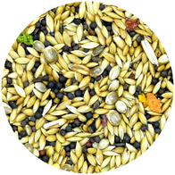 Karma dla kanarka Exclusive Vita-Organic MDM 10 kg