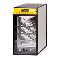 Inkubator OvaEasy 380 Advance AUTO