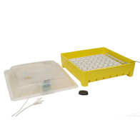 Inkubator domowy iKar 42/120 AUTO z pilotem