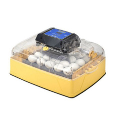 Inkubator lęgowy Ovation 28 Zoologica dla ptaków egzotycznych