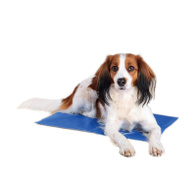 Mata chłodząca dla psów żelowa 65 × 50 cm