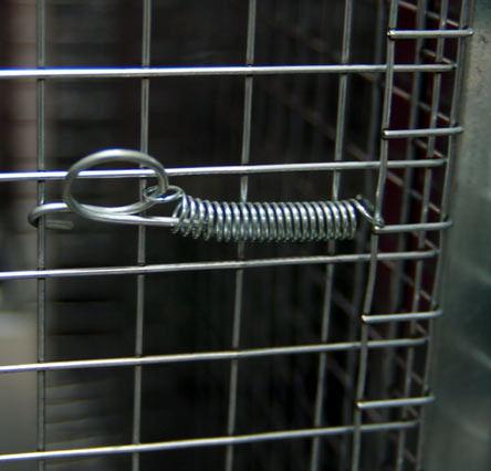 Sprężyna do wolier z zaczepami do zamykania klapy klatki - 70 mm