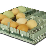 Uniwersalna pół-automatyczna taca do inkubatorów 24