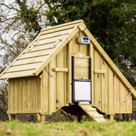 Automatyczny system otwierania drzwi do kurnika ChickenGuard Extreme z czujnikiem zmierzchu