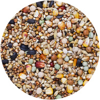 Karma dla gołębi PIE Pierzeniowa AGRO KING 25 kg