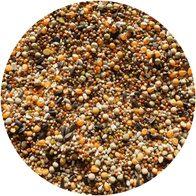 Karma dla gołębi MOREL-TEAM Rozpłodowo-Pierzeniowa MR-RP 20 kg