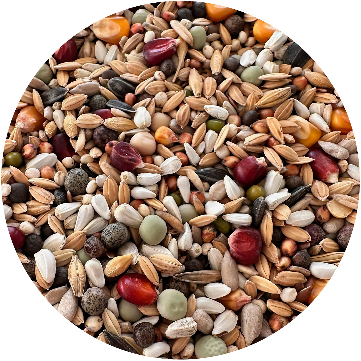 Karma lotowa dla gołębi Paweł Mędrysa wtorek / środa PARTNER PREMIUM 20 kg