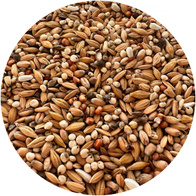 Karma lotowa dla gołębi Paweł Mędrysa niedziela / poniedziałek PARTNER PREMIUM 20 kg