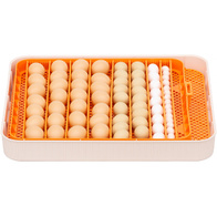 Inkubator do jaj automatyczny z pompą wilgotności, regulowaną tacą OVOstart 56