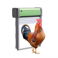 Automatyczne drzwi do kurnika zasilane panelem solarnym