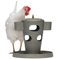 Karmnik zabawka dla kur Chicken Tower na paszę i przysmaki