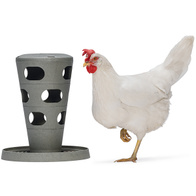 Karmnik zabawka dla kur Chicken Tower na paszę