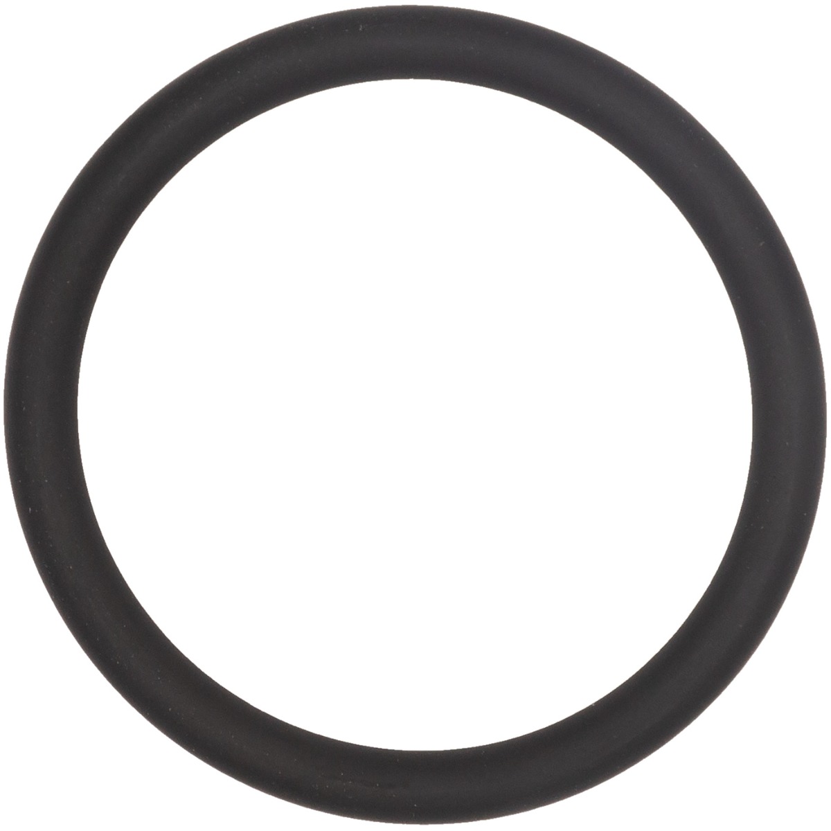Uszczelka ORING J024 do Dosatron D25RE2 0,2-2% VF