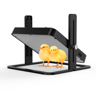 Płyta grzewcza dla piskląt 27 x 27 cm z regulacją wysokości OVO-20