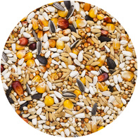 Karma dla gołębi lotowa LO+ AGRO KING 25 kg