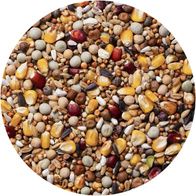 Karma dla gołębi AGRO KING R rozpłodowa 25 kg