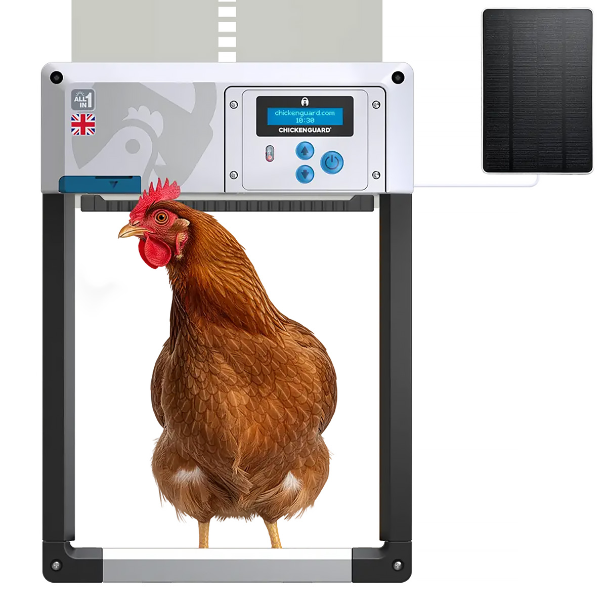 All in One zestaw drzwiczki i system automatyczny Chicken Guard z solarem